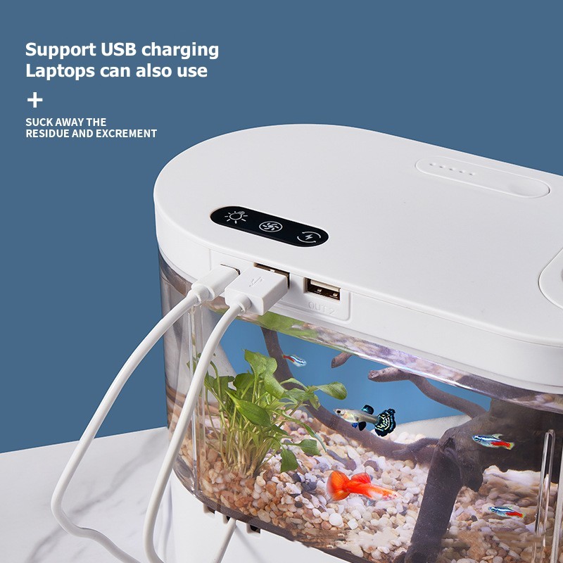 Kreatives Mini-Desktop-Aquariu – Betta Fish Tank Bewertung und Preis