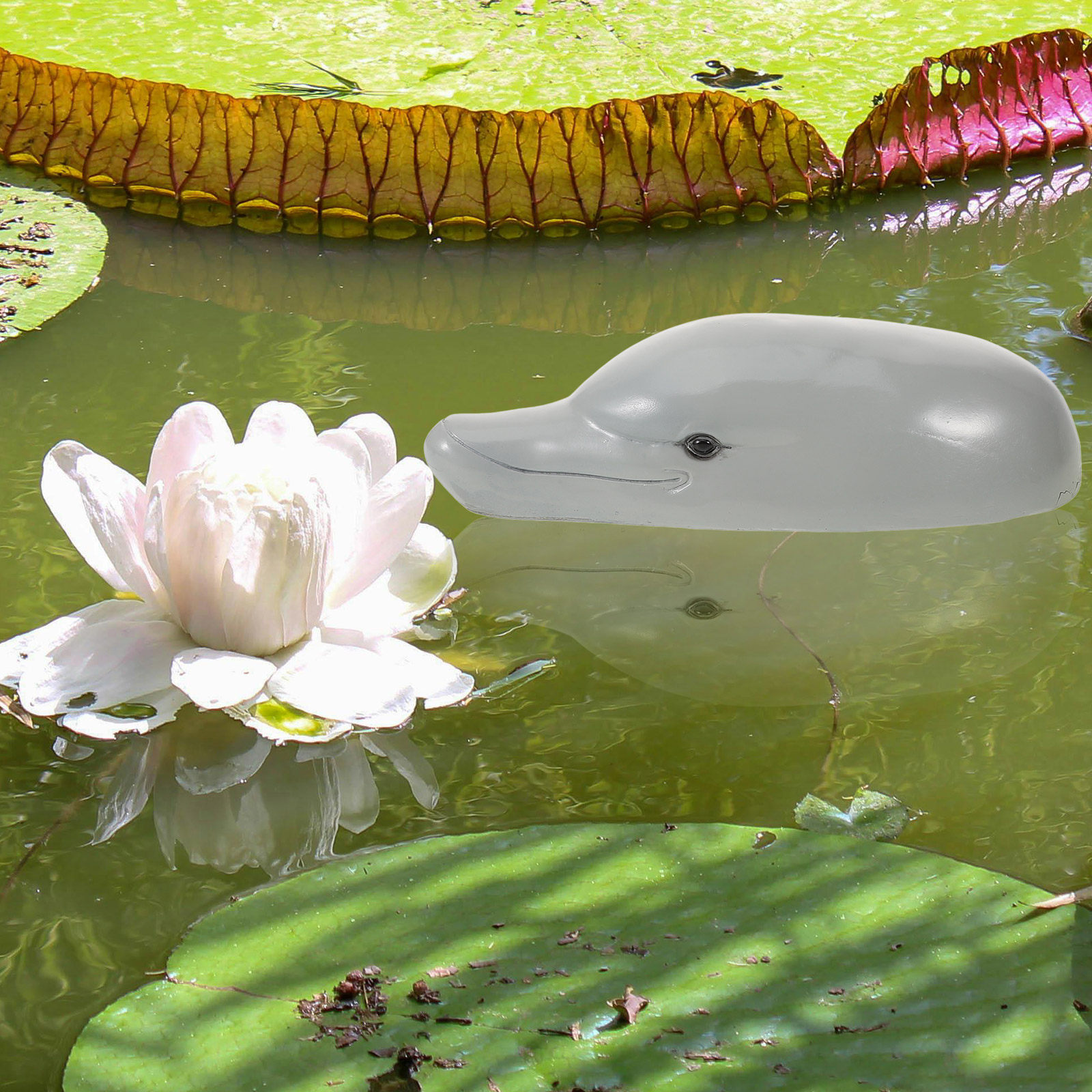 Hochwertiges Delfin-Kopf-Ornam – Aquarium Decor Bewertung und Preis