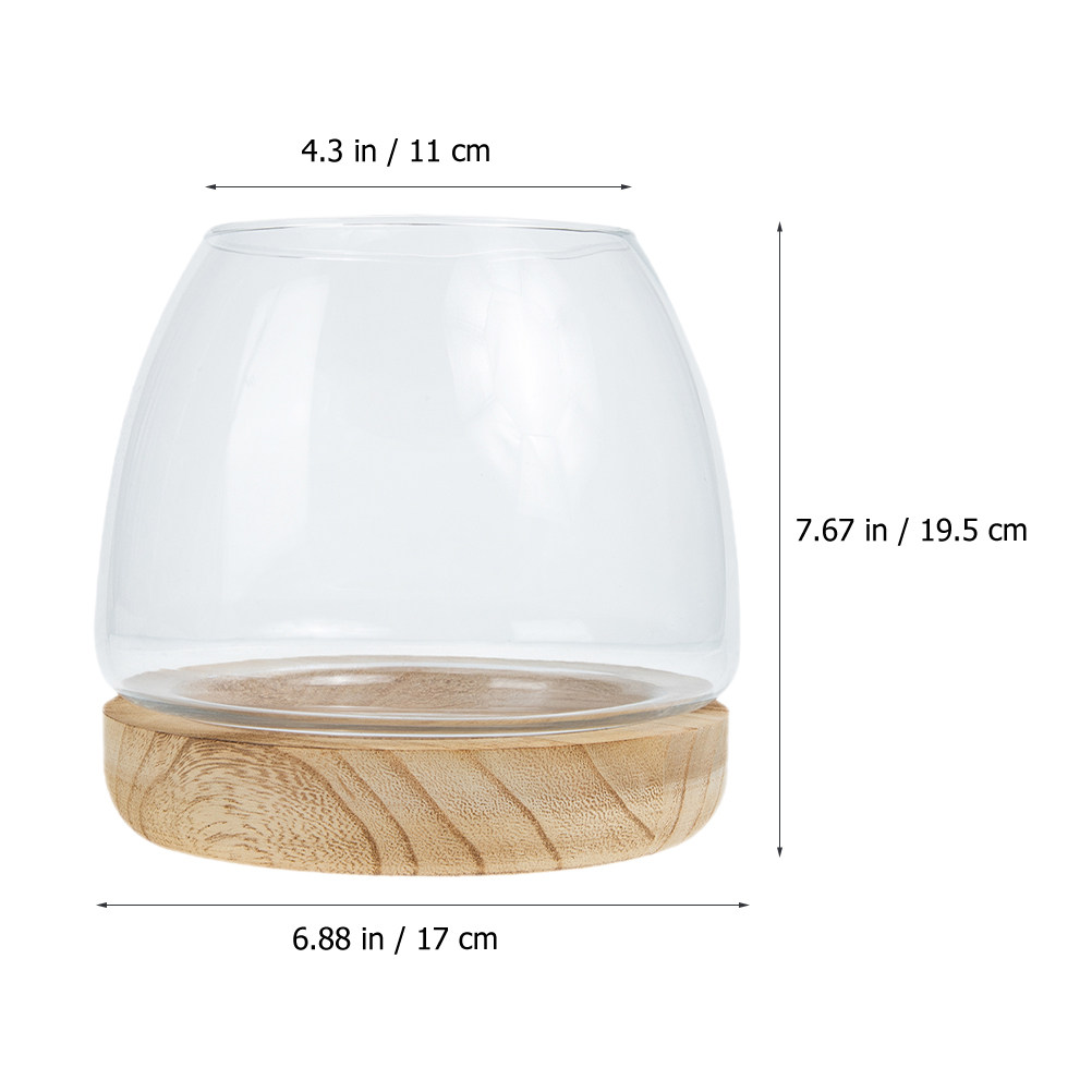 1 Set, durchsichtiges Glas-Ter – Aquarium Fish Betta Bewertung und Preis