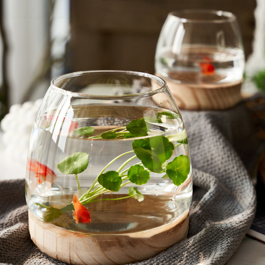 1 Set, durchsichtiges Glas-Ter – Aquarium Fish Betta Bewertung und Preis