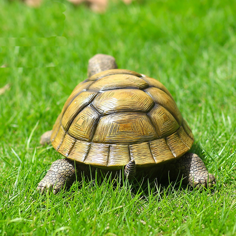 Niedliche dekorative Schildkrö – Fish Aquarium Home Bewertung und Preis