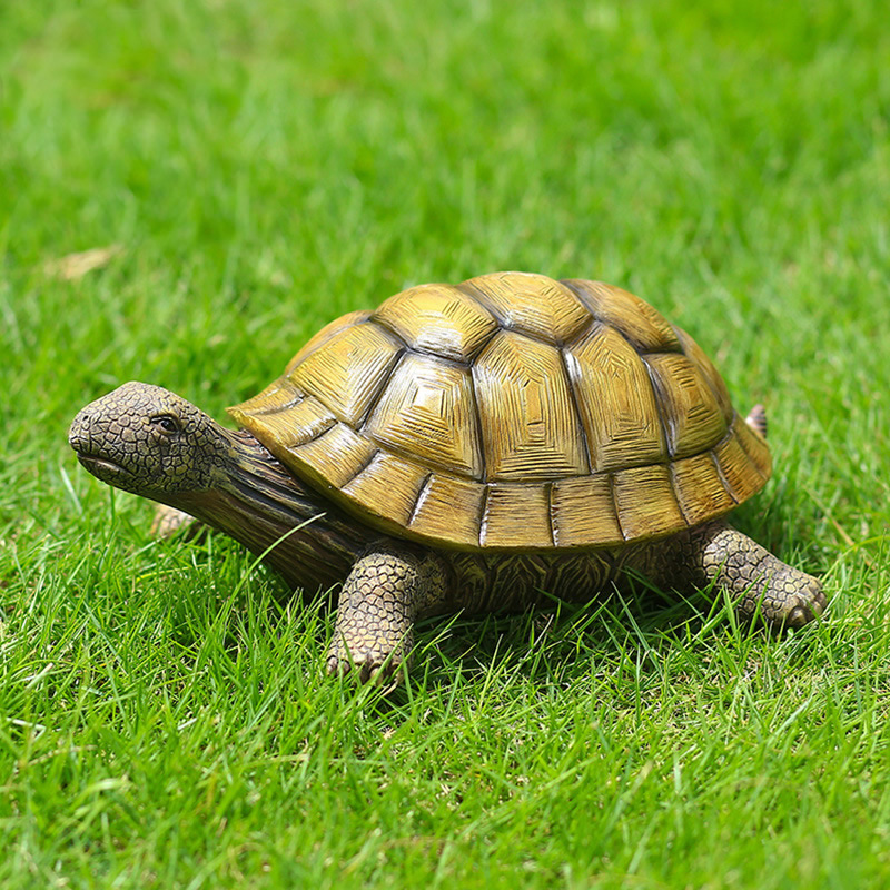 Niedliche dekorative Schildkrö – Fish Aquarium Home Bewertung und Preis