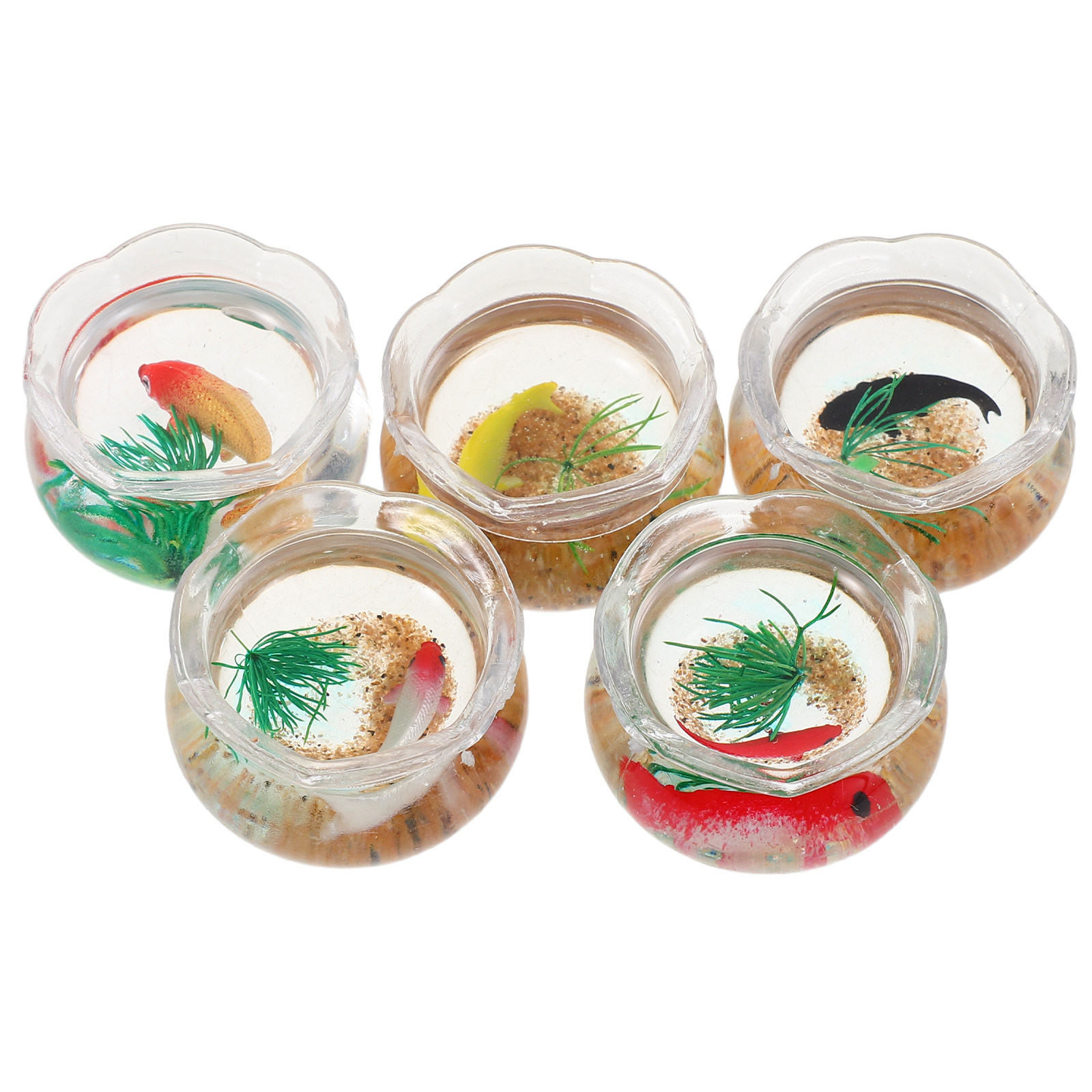 5 Stück Mini-Fischbecken, real – Aquarium Plants Bewertung und Preis